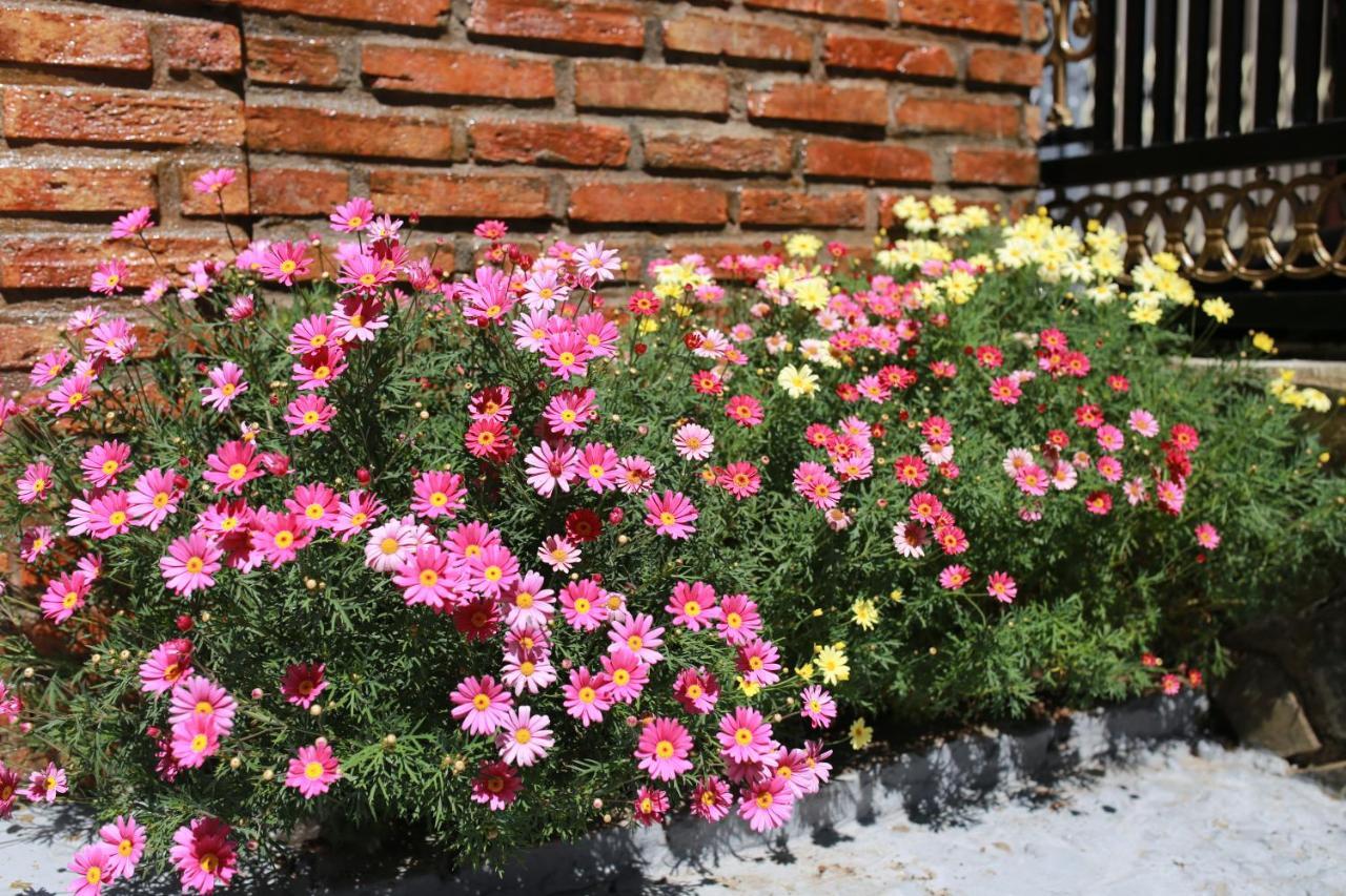 Tina Family Otel Da Lat Dış mekan fotoğraf