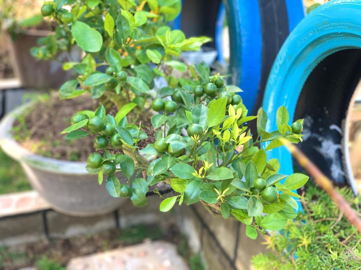 Tina Family Otel Da Lat Dış mekan fotoğraf
